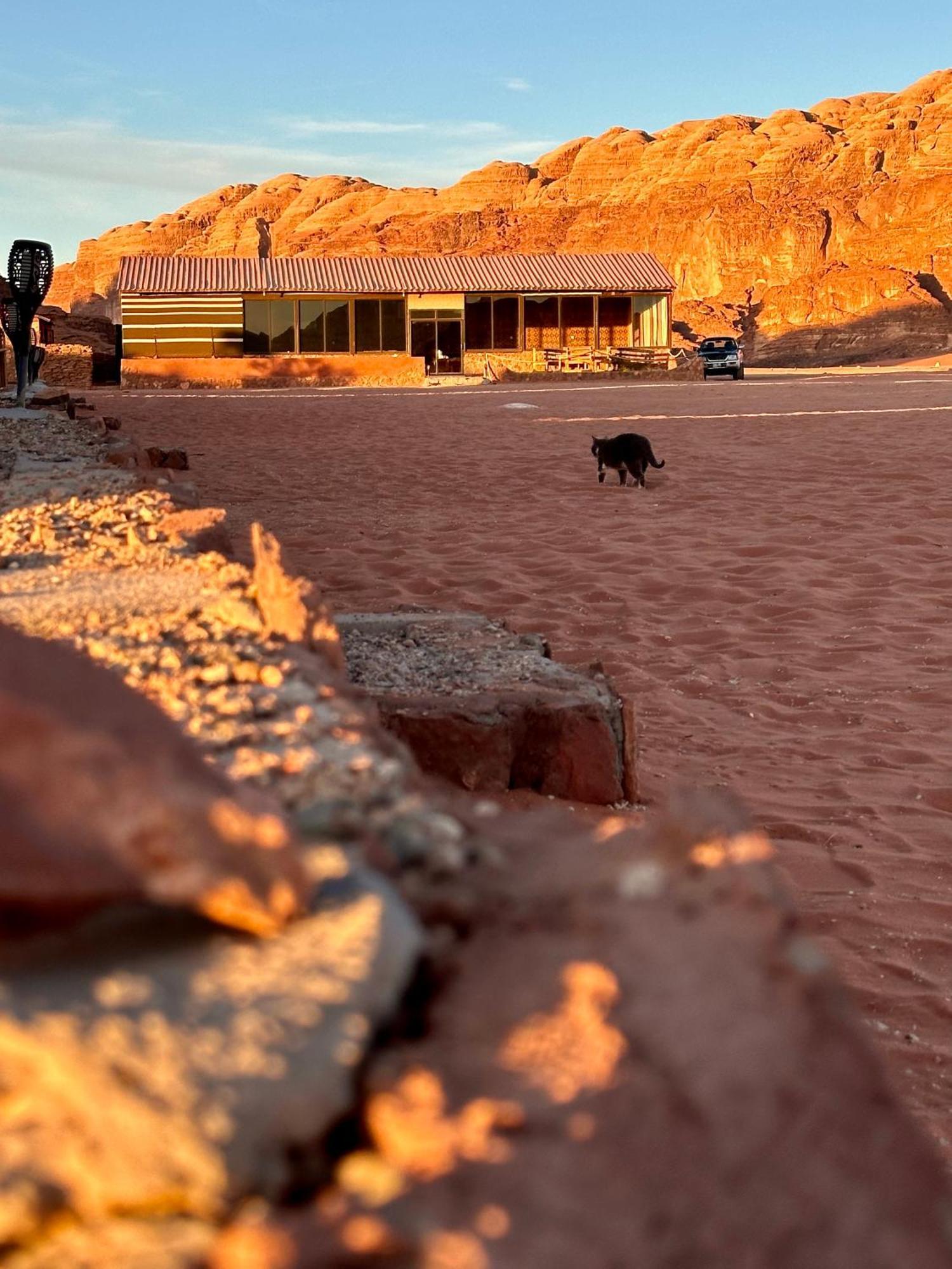 Salameh's Bedouin Camp